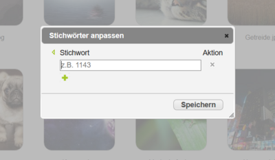 DR-Drive Stichwörter bearbeiten