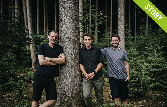Holzdekowoods